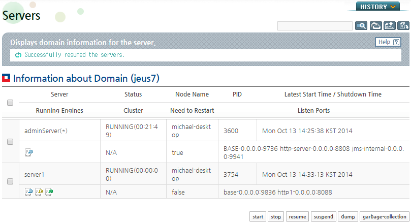 Resuming a Domain Server