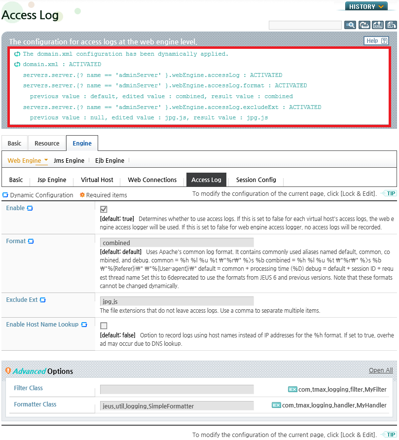 Web Engine Access Logs - Result