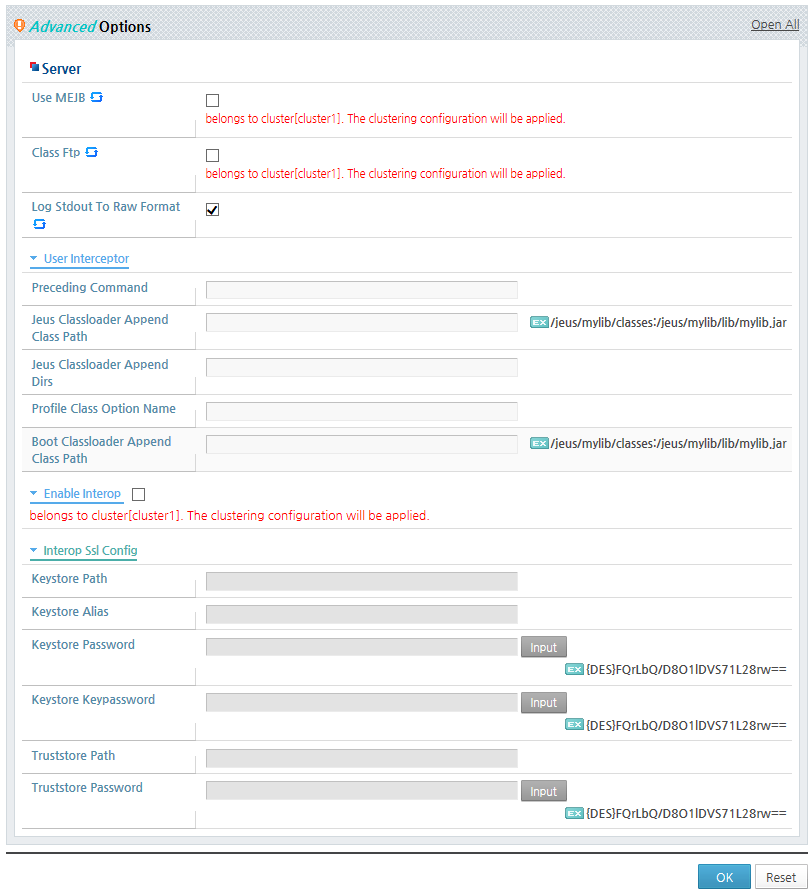 Configuring Server-Advanced Options