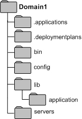 Domain Directory Structure