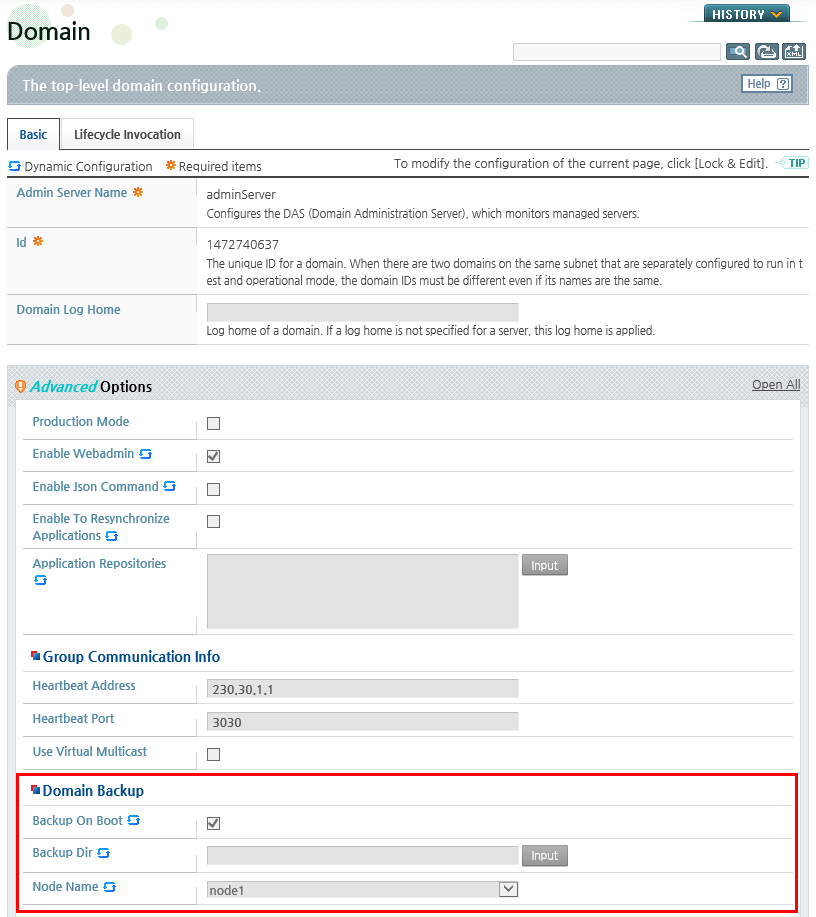 Automatic Domain Backup Configuration