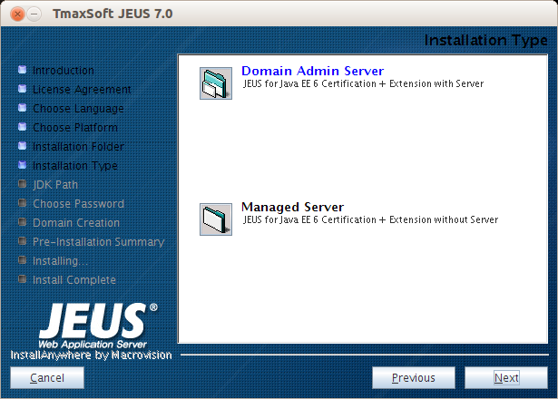 Installing JEUS in GUI Mode - Installation Type