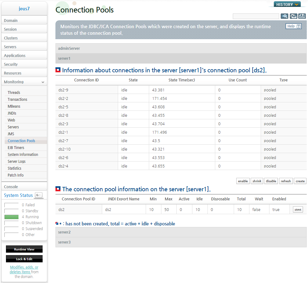 Connection Pool Runtime Information