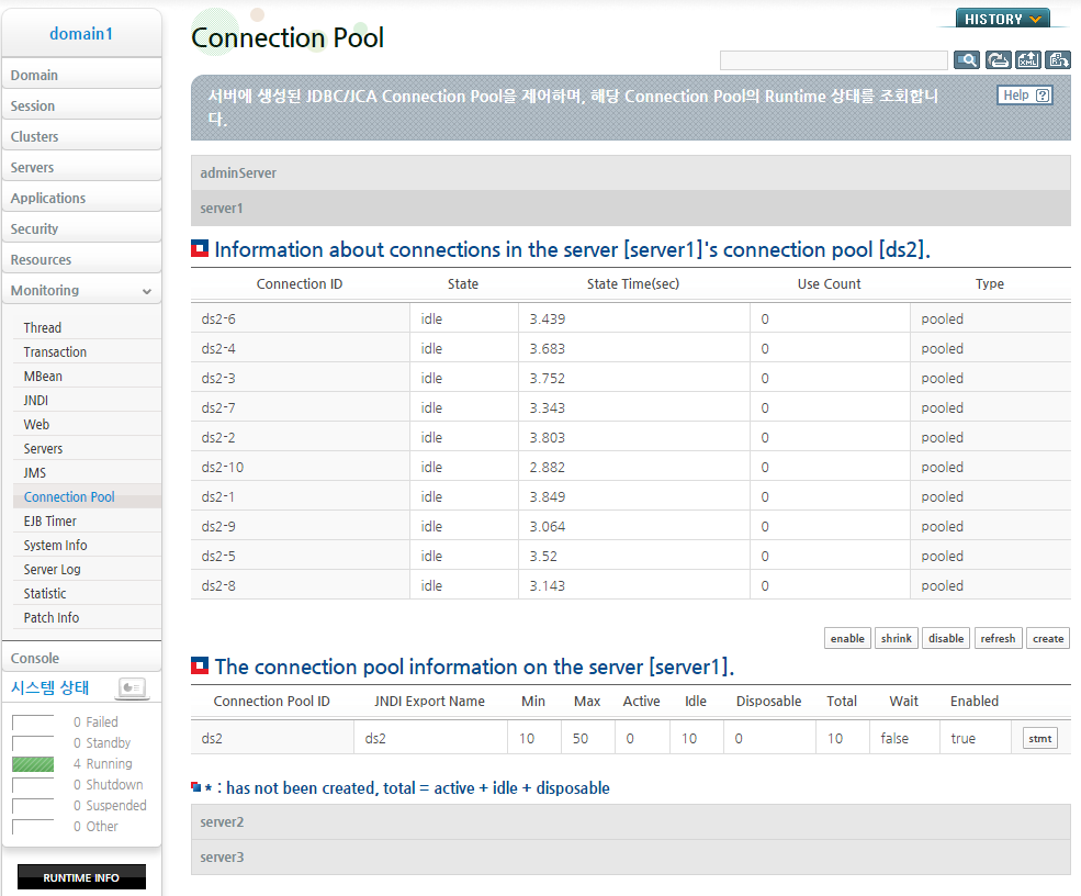 Connection Pool 런타임 정보 확인