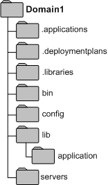 Domain Directory Structure