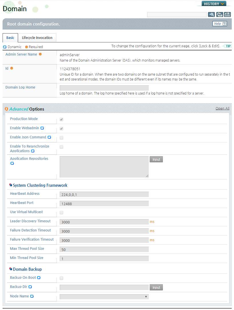 Automatic Domain Backup Configuration