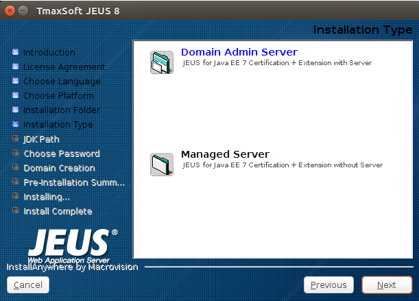 Installing JEUS in GUI Mode - Installation Type