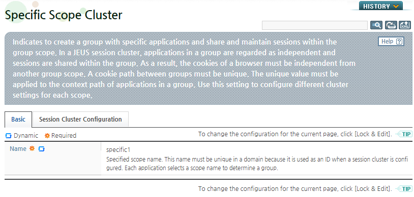 Configuring a Distributed Session Server - Specific Scope Cluster