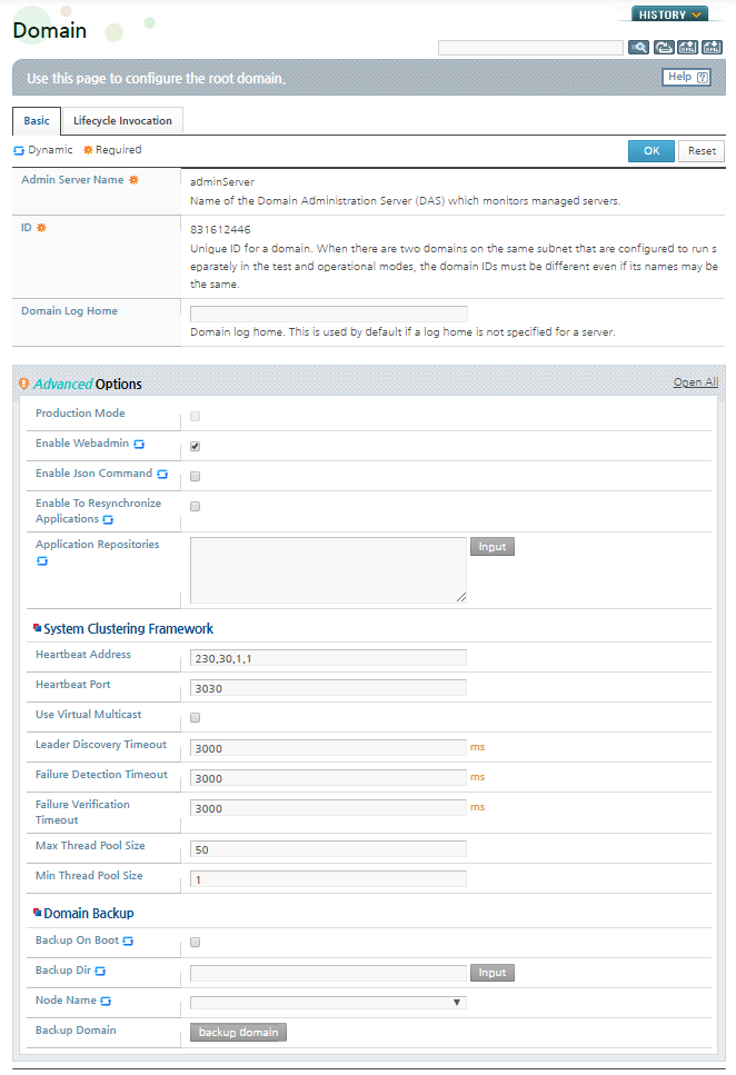 Automatic Domain Backup Configuration