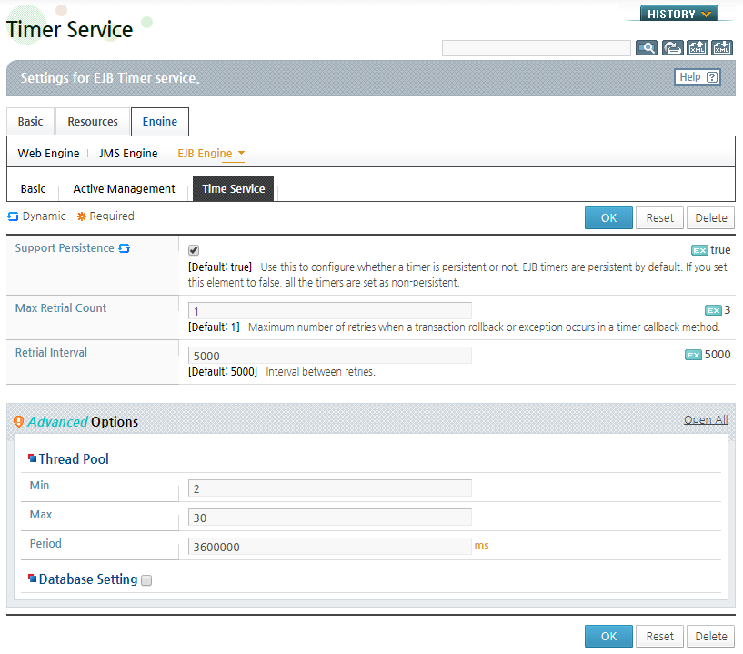 Configuring Persistent Timer Service - Basic Options