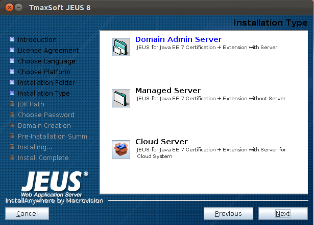 Installing JEUS in GUI Mode - Installation Type