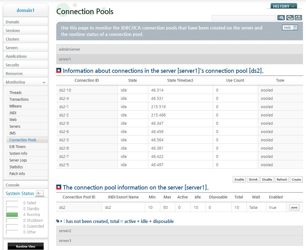 Connection Pool Runtime Information