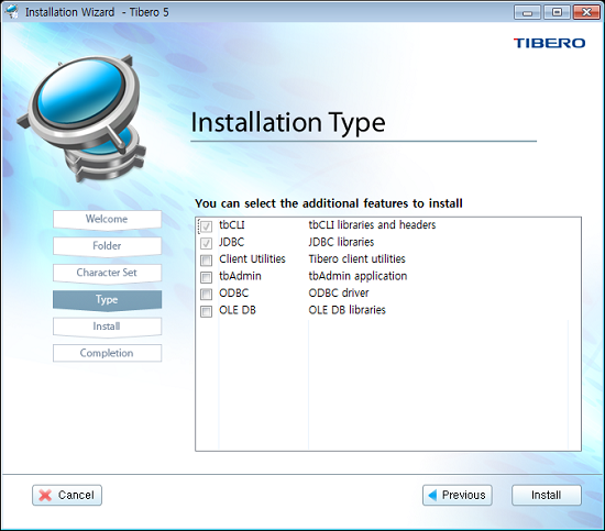 Installation Type