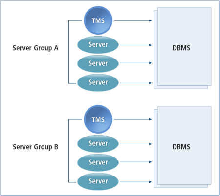 데이터베이스 관리를 위한 TMS 프로세스