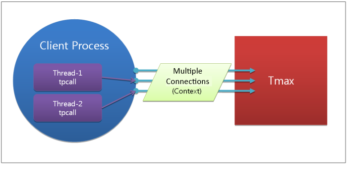 Tmax Client Multicontext Application