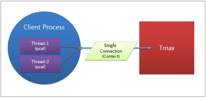 Tmax Client Multithread Application